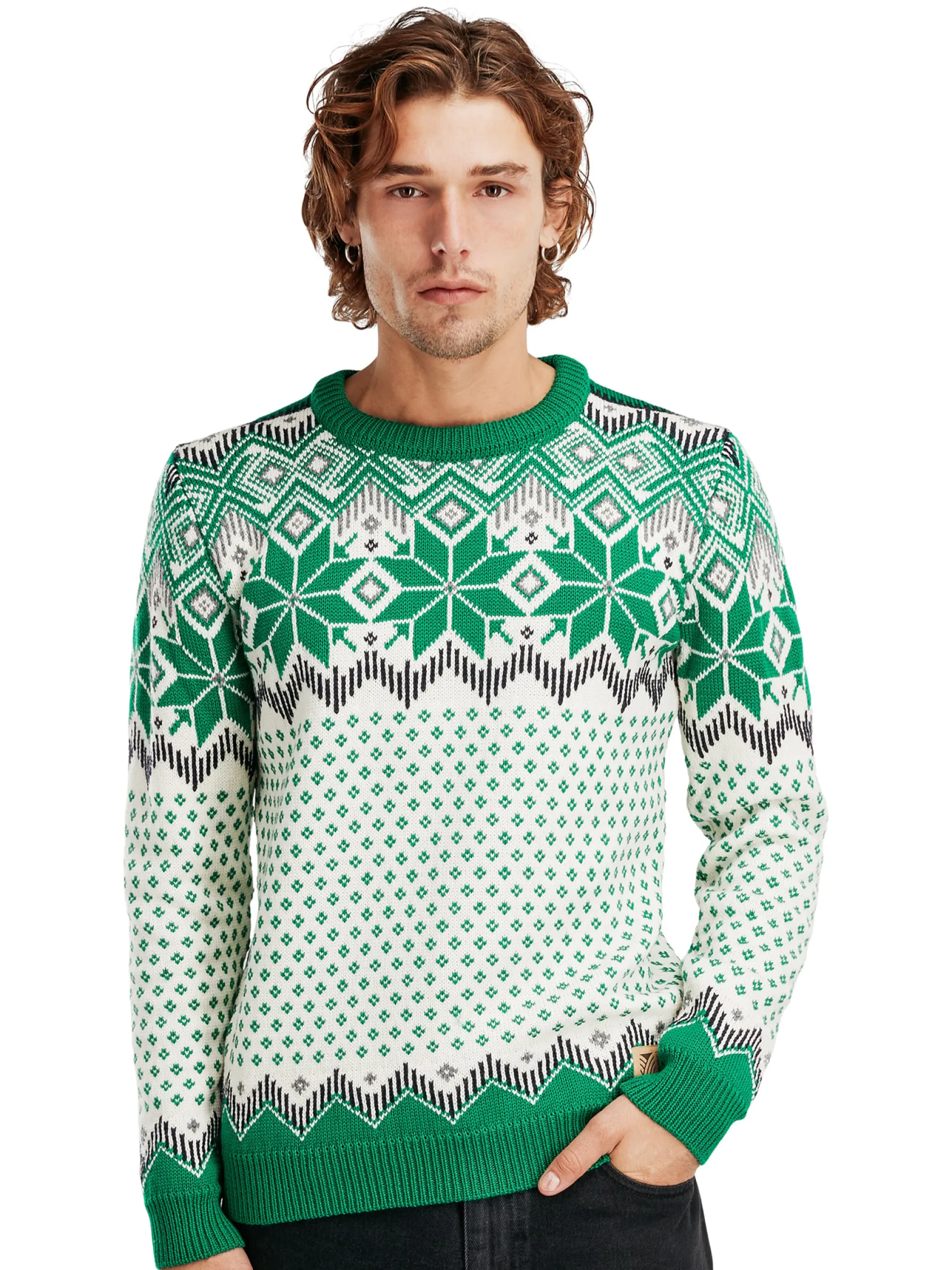 Dale of Norway Round Neck^Vegard Men's Knit Sweater Brightgreen Offwhite