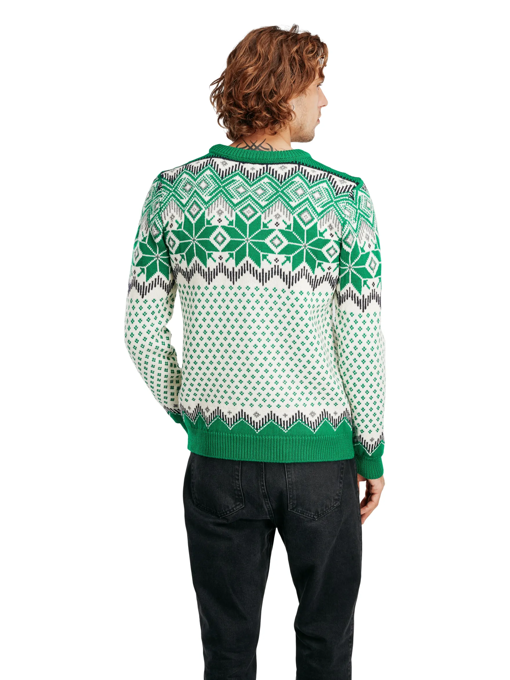 Dale of Norway Round Neck^Vegard Men's Knit Sweater Brightgreen Offwhite